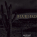 Saguaro 1995-2003
