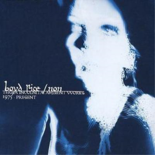 Terra Incognita: Ambient Works 1975-present