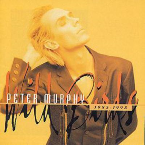 Wild Birds: 1985 - 1995