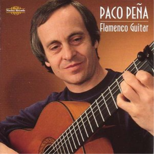 Flamenco Guitar