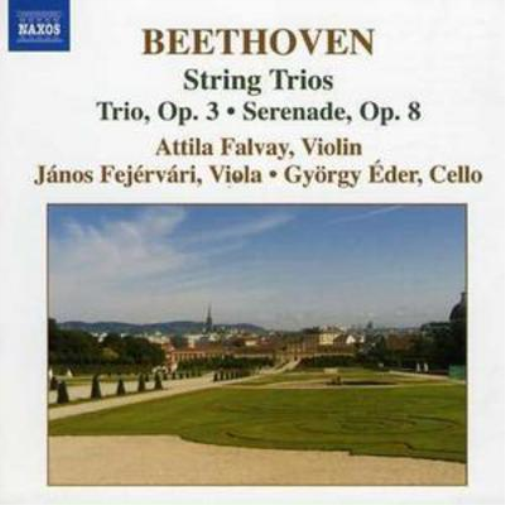 String Trios (Falvay, Fejervari, Eder)