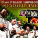 Summertime: The Best of Black Umfolosi