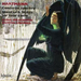 Concerto Funebre, Sonatas and Suites (Ibragimova)