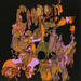 Peanut Butter Wolf Presents Chrome Children - Volume 2