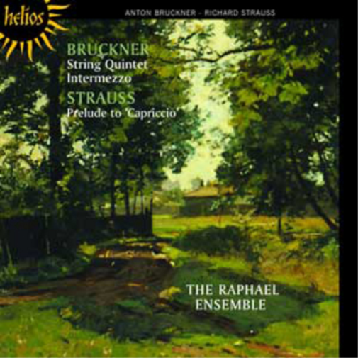 Bruckner: String Quintet/Intermezzo/...