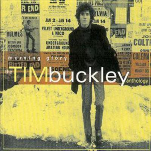 Morning Glory: The Tim Buckley Anthology