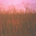 Everything Under the Sun