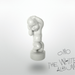 The White Album