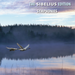 Symphonies - Volume 12