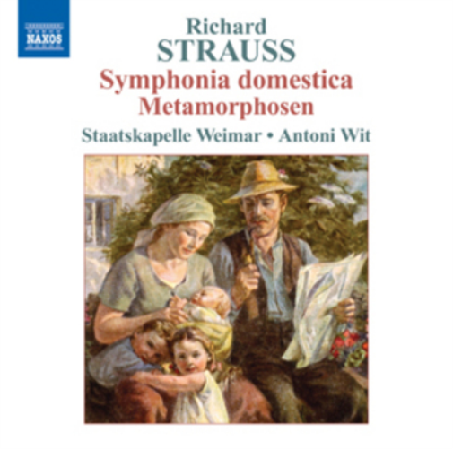 Symphonia Domestica/Metamorphosen
