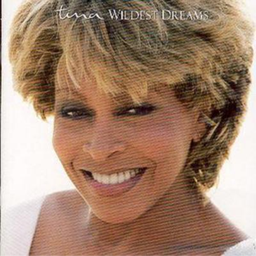 Wildest Dreams