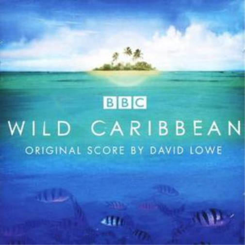 Wild Caribbean