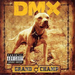 Grand Champ