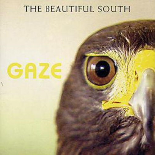 Gaze