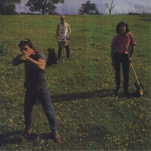 Down On the Farm