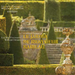 Le Jardin De Monsieur Rameau