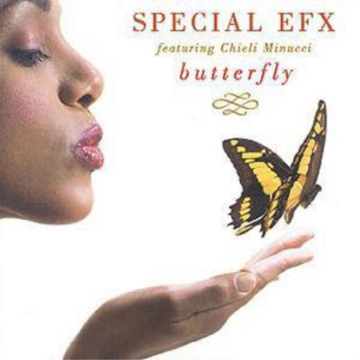 Butterfly