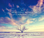 The Beautiful Bones