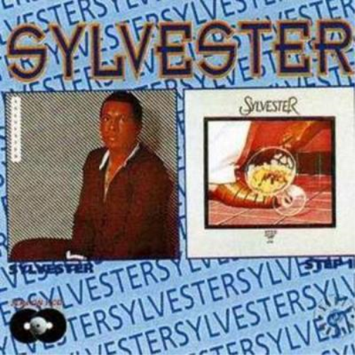 Sylvester/step 2