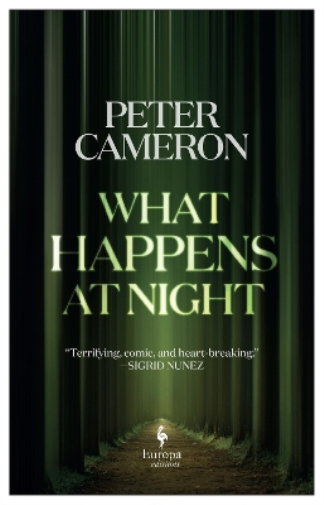 What Happens at Night