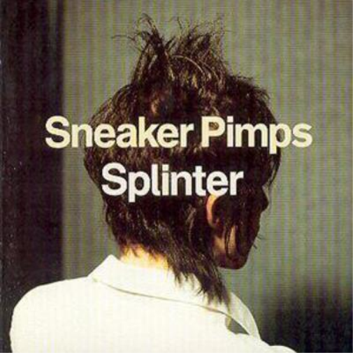 Splinter
