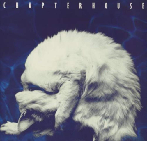 Whirlpool: The Original Recordings