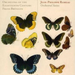 Orchestral Suites: Acante Et Cephise (Bruggen)