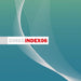 INDEX06