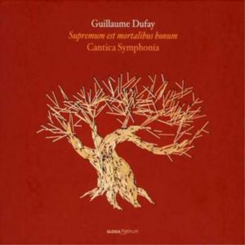 Motets Vol. 2 (Maletto, Cantica Symphonia)