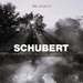 Schubert: Piano Trio, Op. 100 & Notturno