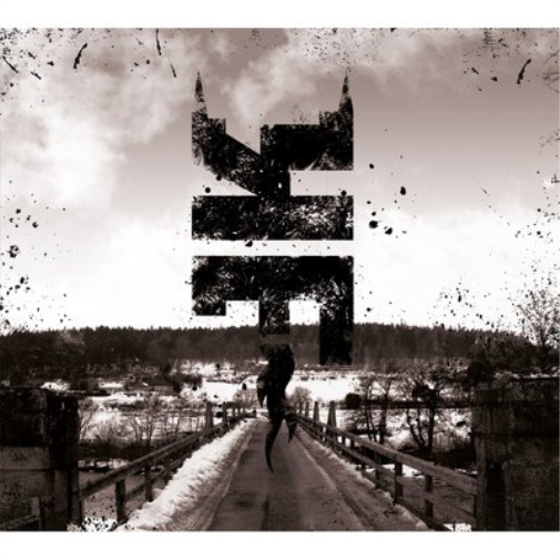 Bridge of Disorder