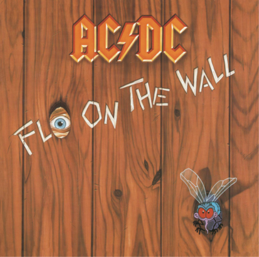 Fly On the Wall