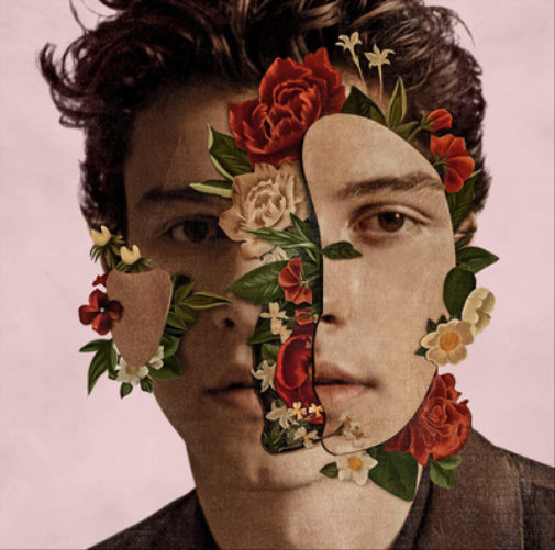 Shawn Mendes: The Album