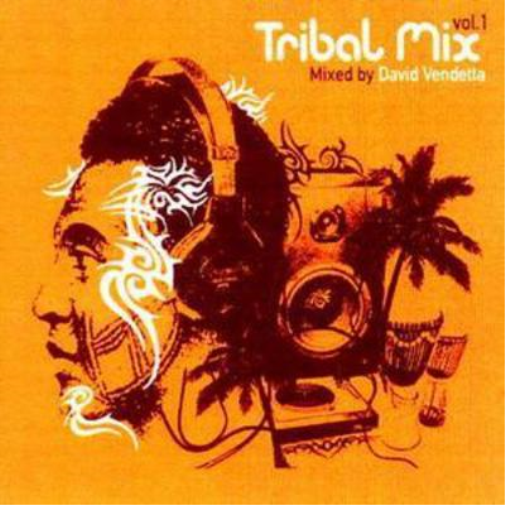 Tribal Mix Vol. 1 [mixed By Dj David Vendetta)