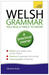 Welsh Grammar You Really Need to Know: Teach Yourself