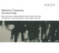 Martino Traversa: Manhattan Bridge