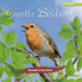 Gentle Birdsong