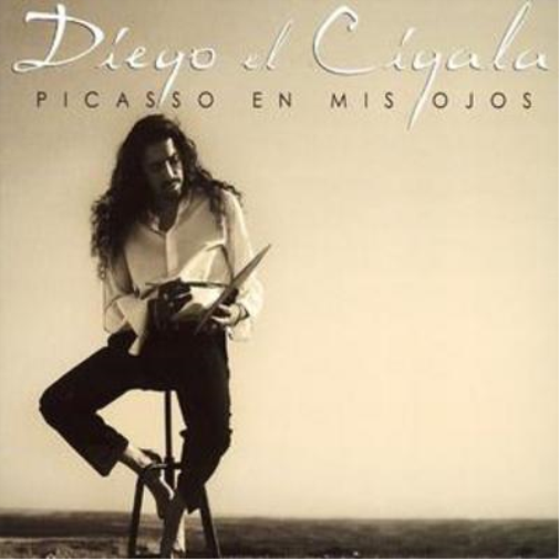 Picasso En Mis Ojos