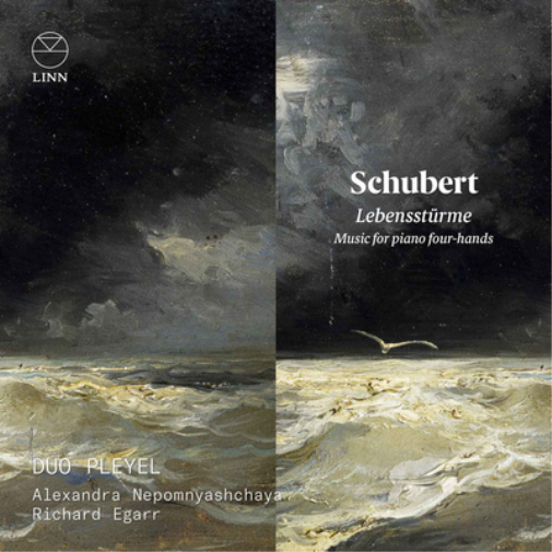 Schubert: Lebensstürme - Music for Piano Four-hands