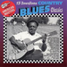 15 Down Home Country Blues Classics: AMERICAN MASTERS VOL. 1