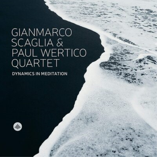 Dynamics in Meditation