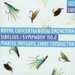 Symphony No. 2 (Jansons, Rco)