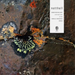 Sebastian Mullaert: Natthall