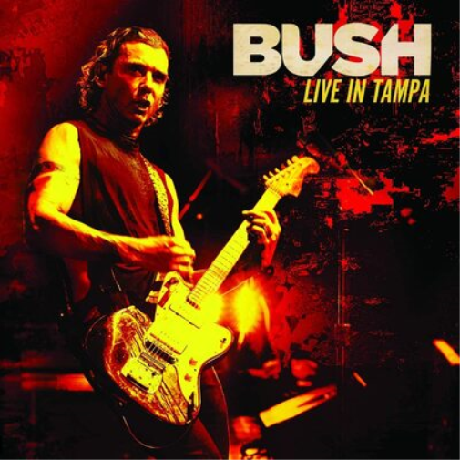 Live in Tampa
