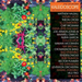 Kaleidoscope: New Spirits Known & Unknown