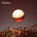 Fabriclive 57: Jackmaster
