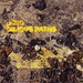 Bilious Paths