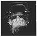Indoctrinate