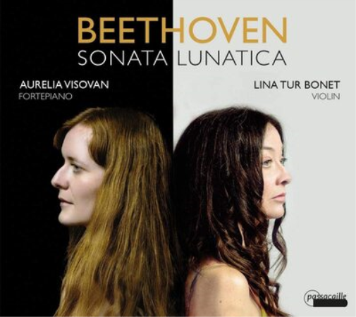 Beethoven: Sonata Lunatica