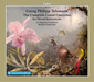 Georg Philipp Telemann: The Complete Grand Concertos...